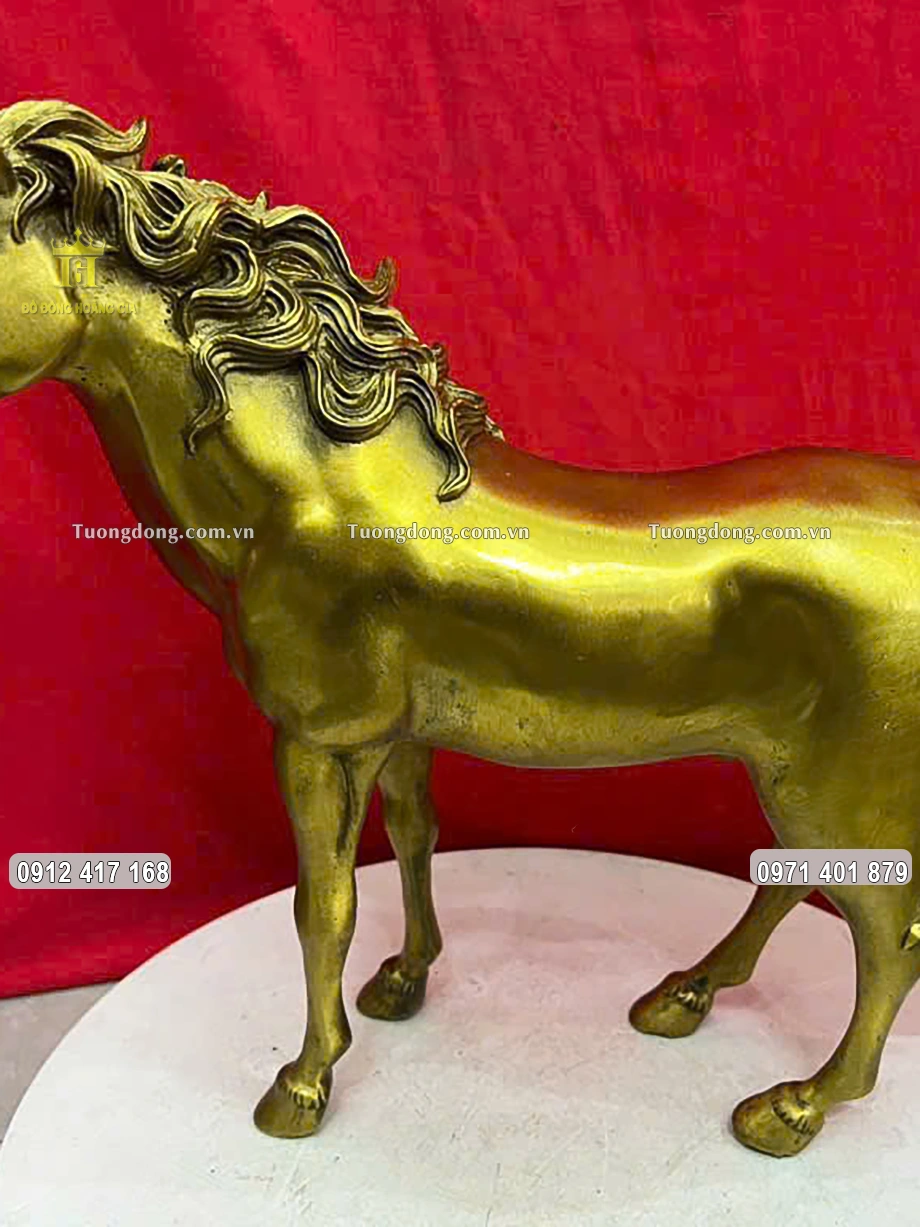 Hình ảnh thân ngựa